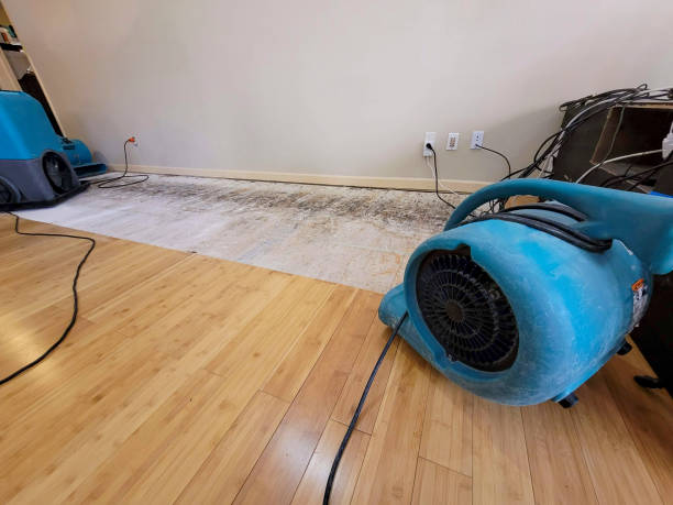 Professional Water Damage Repair technician working in Plain City, OH